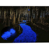 Wholesale Bulk Garden Pebbles Stones Glow in The Dark Stone