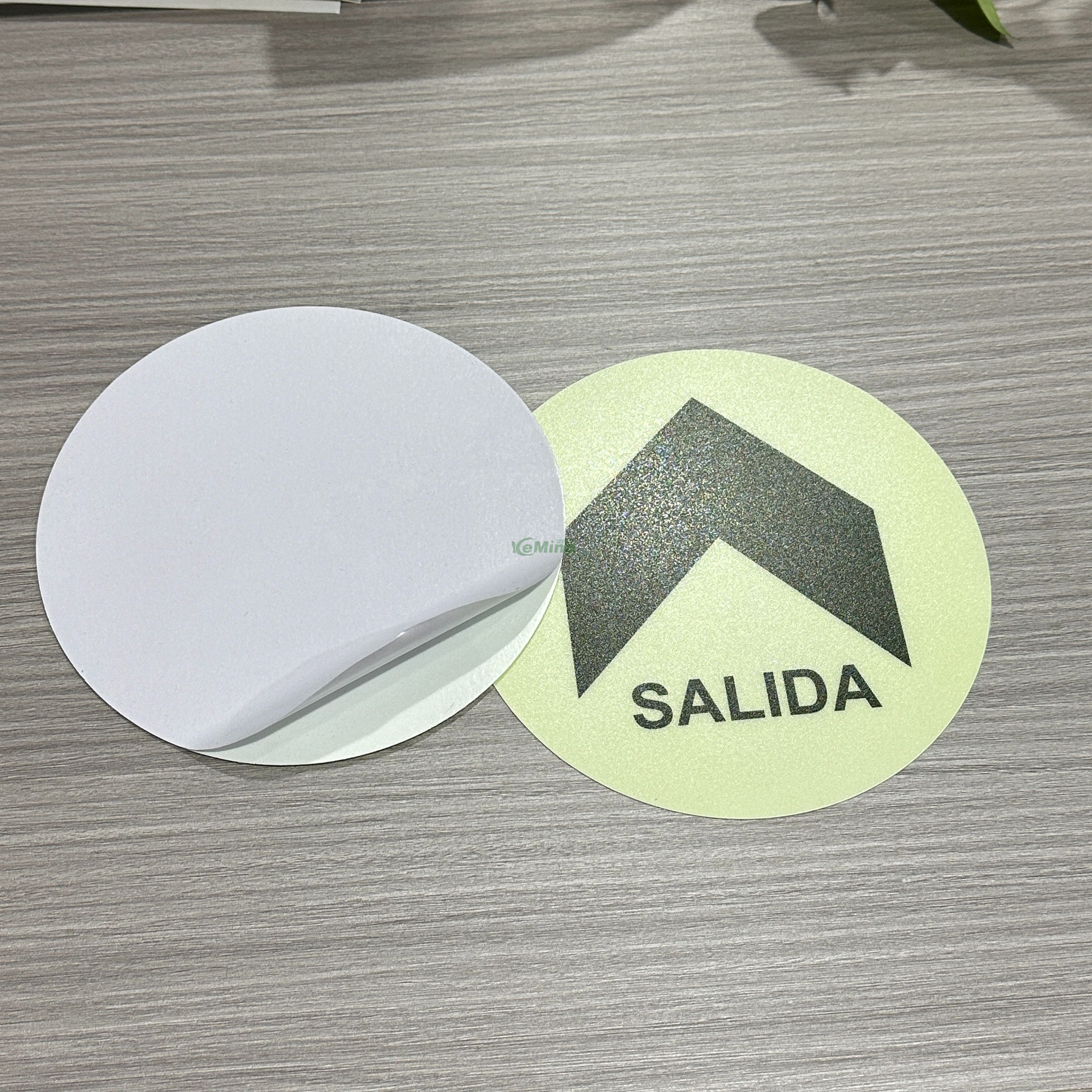 Diameter 200 Glow In The Dark floor Exit signs round Graphic Design Photoluminescent glass glow floor signs without power
