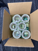Photoluminescent Tape Glow in The Dark Outdoor Tape Waterproof