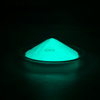  Water-proof Luminous Pigment 20 Years Life Blue Green Glow in The Dark Pigment Powder for Resin And Ink