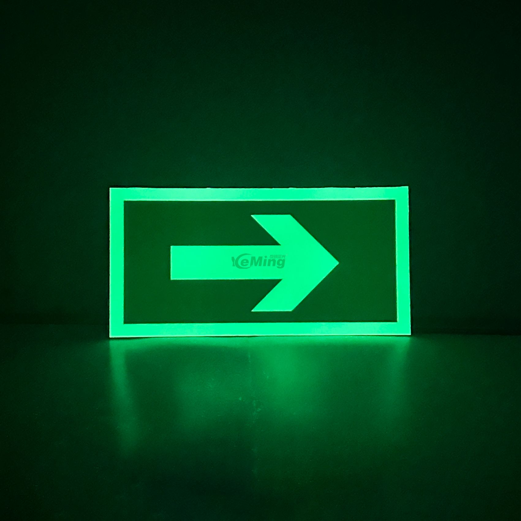 Customized Photoluminescent Signage Arrow Right Left Sign Luminescent Fire Emergency Sign